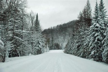 The Dog Sledding Chauffeur: Grocery Getters, Russ-Stick Style Image